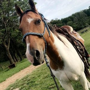 Meet your Posher, Trisha